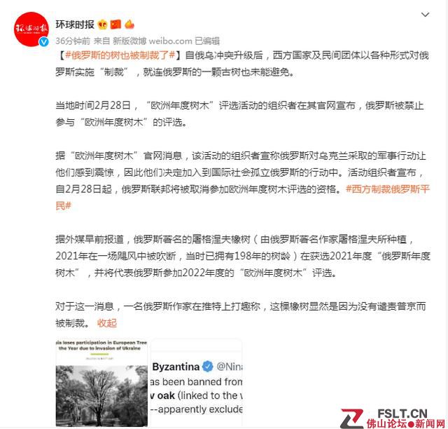 俄罗斯的树也被制裁了！被禁止参与“欧洲年度树木”的评选